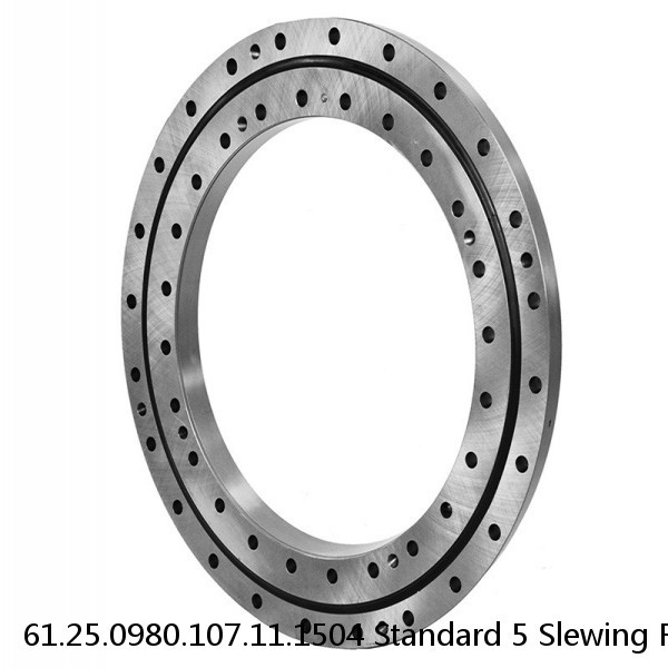 61.25.0980.107.11.1504 Standard 5 Slewing Ring Bearings