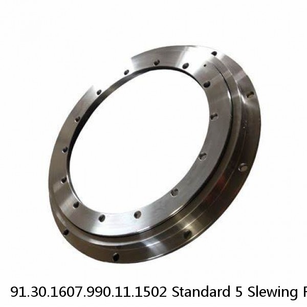 91.30.1607.990.11.1502 Standard 5 Slewing Ring Bearings