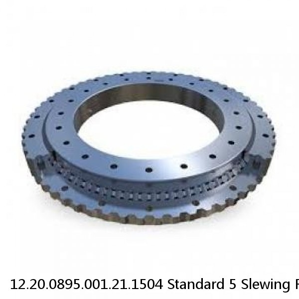 12.20.0895.001.21.1504 Standard 5 Slewing Ring Bearings