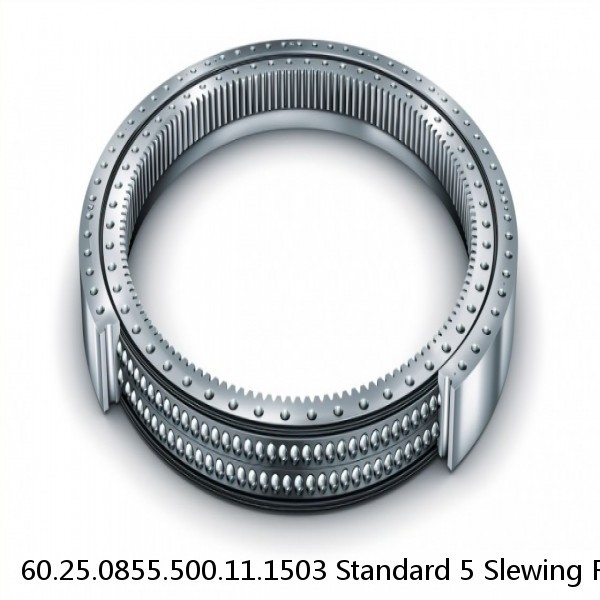 60.25.0855.500.11.1503 Standard 5 Slewing Ring Bearings