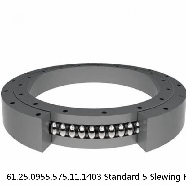 61.25.0955.575.11.1403 Standard 5 Slewing Ring Bearings