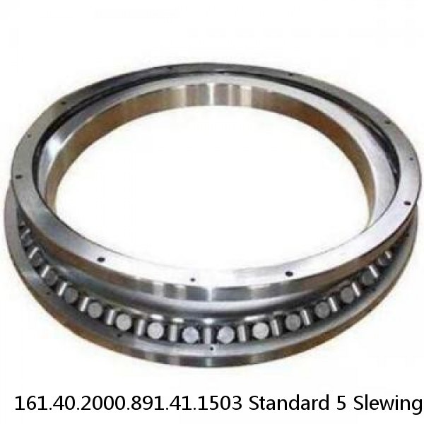 161.40.2000.891.41.1503 Standard 5 Slewing Ring Bearings