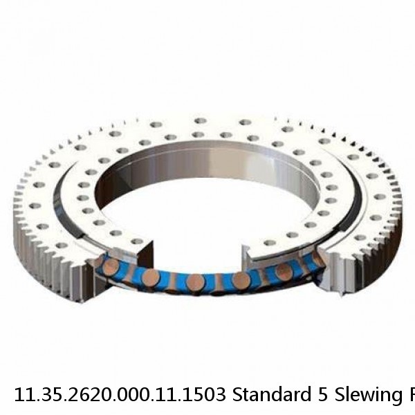 11.35.2620.000.11.1503 Standard 5 Slewing Ring Bearings