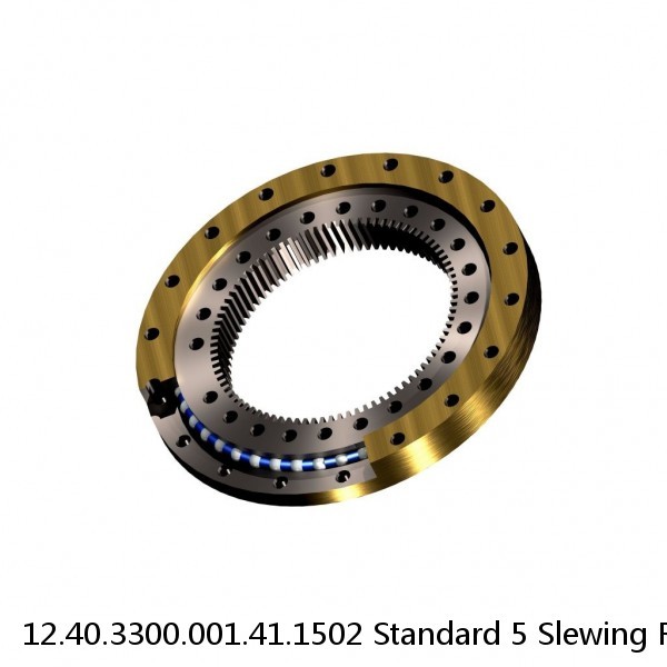 12.40.3300.001.41.1502 Standard 5 Slewing Ring Bearings