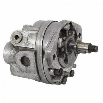 Italy Settima G55C090FSBT150EDV G47C045FBTB0DV Oil pump, gear pump, screw pump