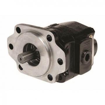 Commercial/Parker P30 /31 /50 /51 /75 /76 Gear pump