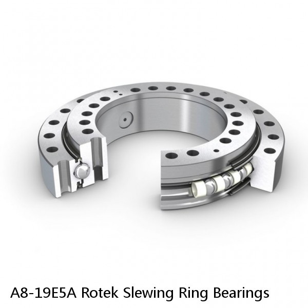 A8-19E5A Rotek Slewing Ring Bearings