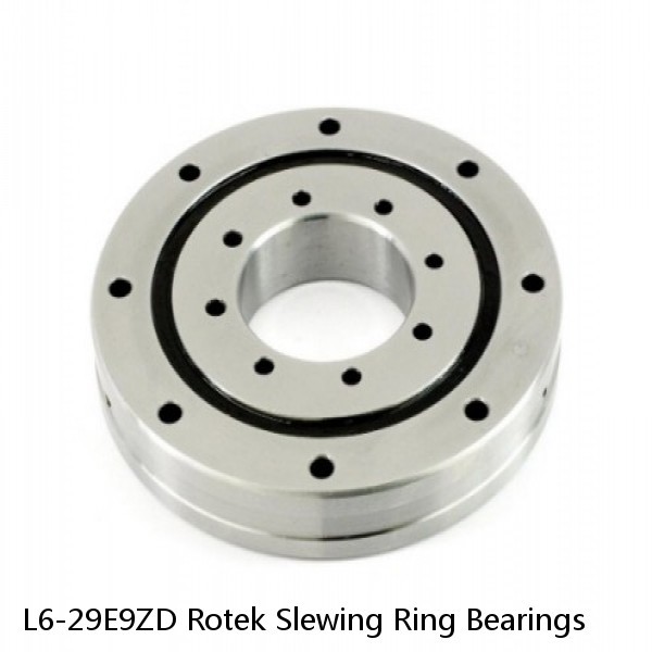 L6-29E9ZD Rotek Slewing Ring Bearings