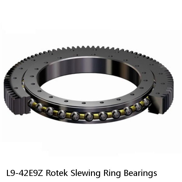 L9-42E9Z Rotek Slewing Ring Bearings