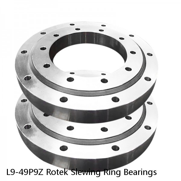 L9-49P9Z Rotek Slewing Ring Bearings