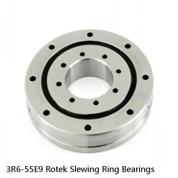 3R6-55E9 Rotek Slewing Ring Bearings