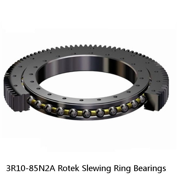 3R10-85N2A Rotek Slewing Ring Bearings