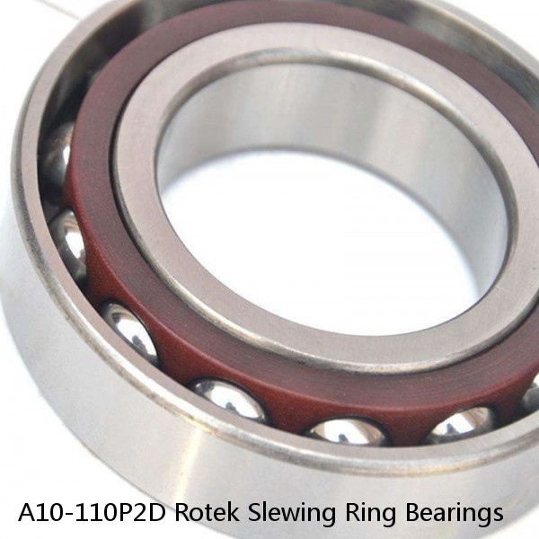 A10-110P2D Rotek Slewing Ring Bearings