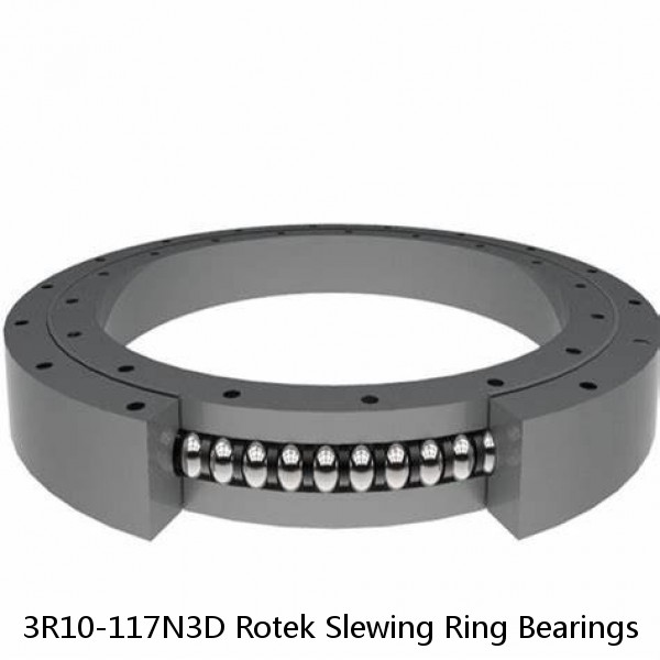 3R10-117N3D Rotek Slewing Ring Bearings