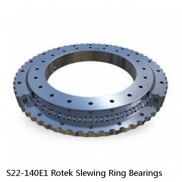 S22-140E1 Rotek Slewing Ring Bearings