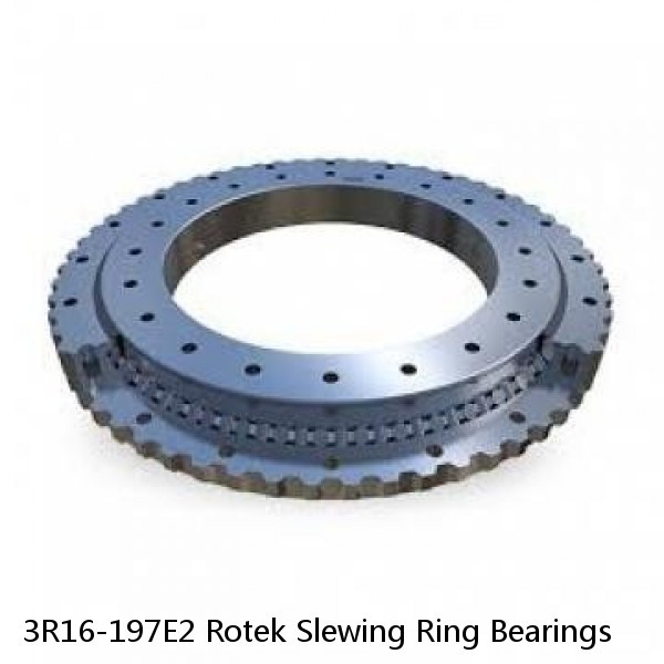 3R16-197E2 Rotek Slewing Ring Bearings