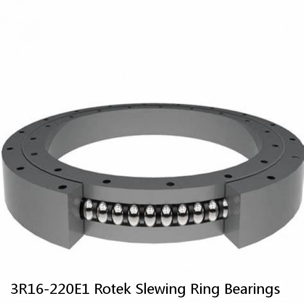 3R16-220E1 Rotek Slewing Ring Bearings