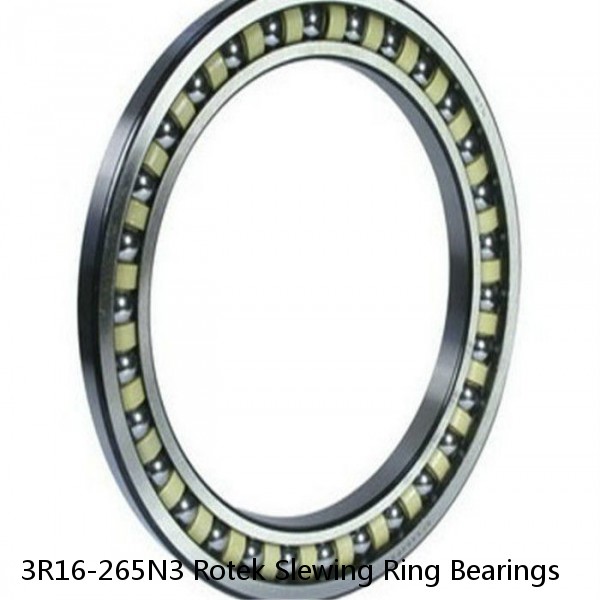 3R16-265N3 Rotek Slewing Ring Bearings