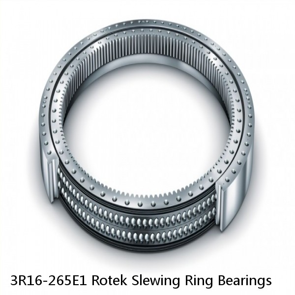 3R16-265E1 Rotek Slewing Ring Bearings