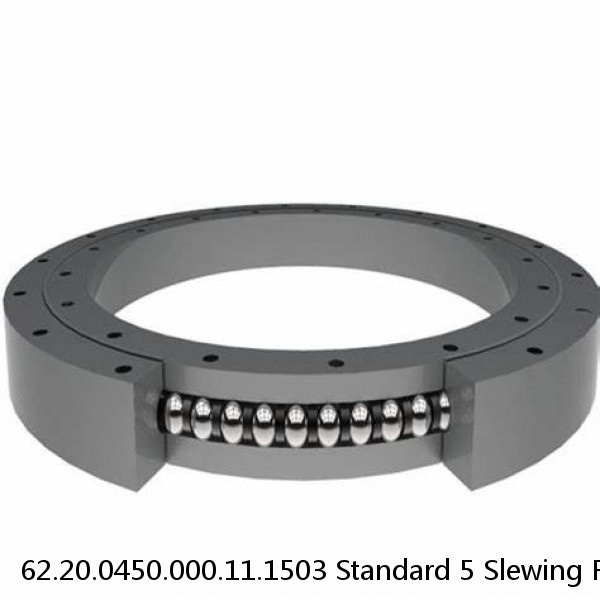 62.20.0450.000.11.1503 Standard 5 Slewing Ring Bearings