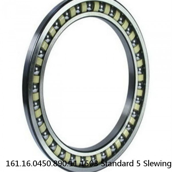 161.16.0450.890.11.1503 Standard 5 Slewing Ring Bearings