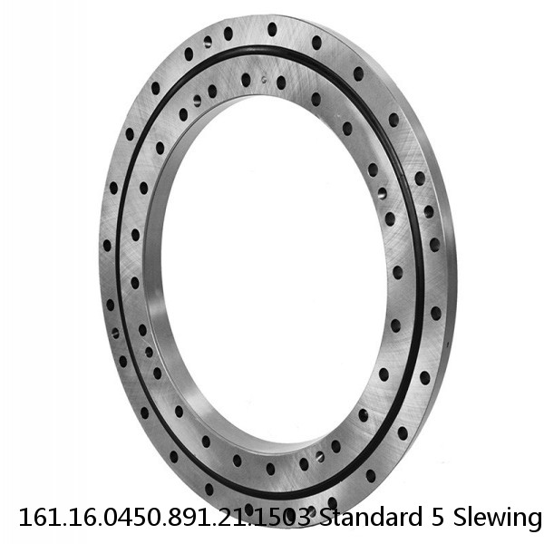 161.16.0450.891.21.1503 Standard 5 Slewing Ring Bearings