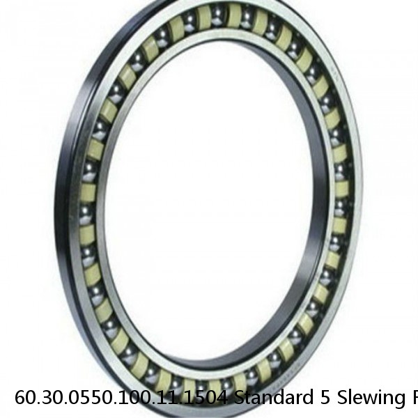 60.30.0550.100.11.1504 Standard 5 Slewing Ring Bearings