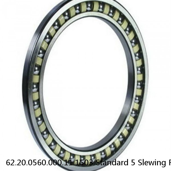 62.20.0560.000.11.1503 Standard 5 Slewing Ring Bearings