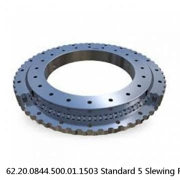 62.20.0844.500.01.1503 Standard 5 Slewing Ring Bearings