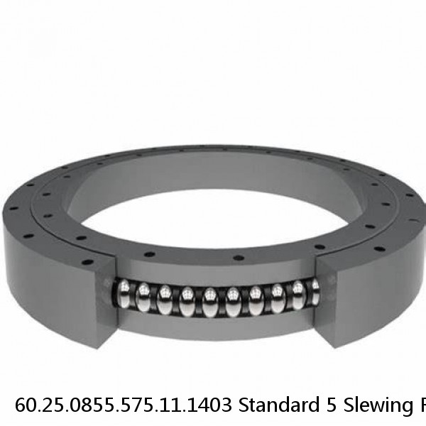 60.25.0855.575.11.1403 Standard 5 Slewing Ring Bearings