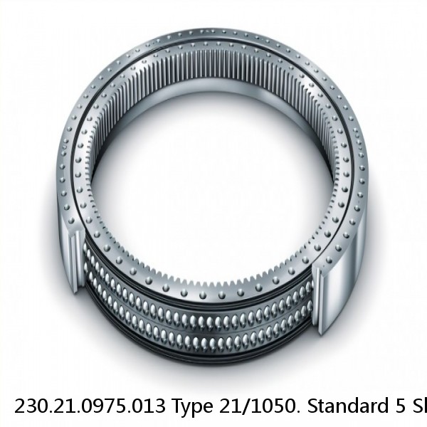 230.21.0975.013 Type 21/1050. Standard 5 Slewing Ring Bearings