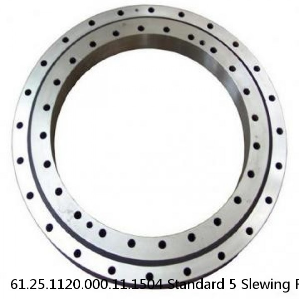 61.25.1120.000.11.1504 Standard 5 Slewing Ring Bearings