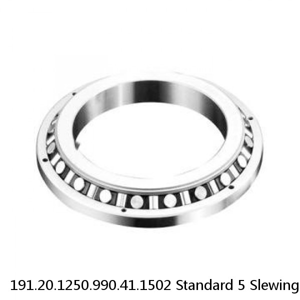 191.20.1250.990.41.1502 Standard 5 Slewing Ring Bearings