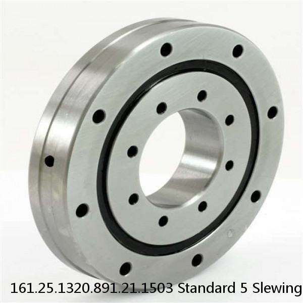 161.25.1320.891.21.1503 Standard 5 Slewing Ring Bearings