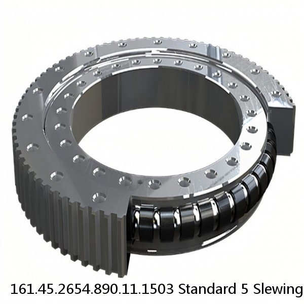 161.45.2654.890.11.1503 Standard 5 Slewing Ring Bearings