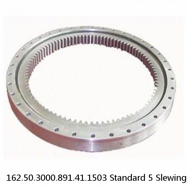 162.50.3000.891.41.1503 Standard 5 Slewing Ring Bearings