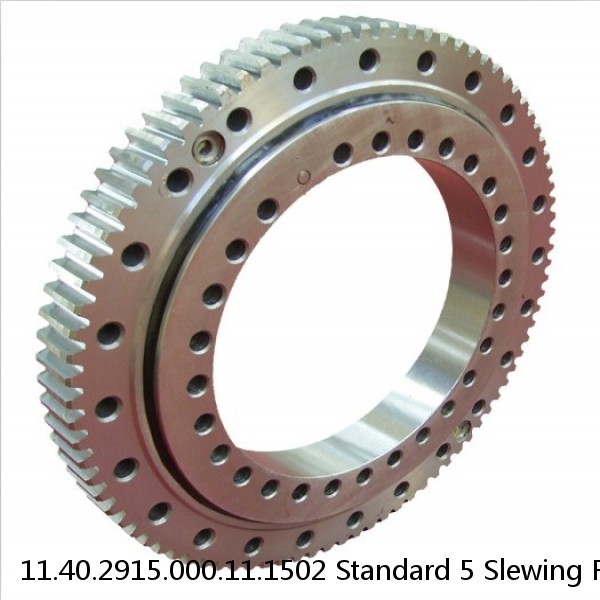 11.40.2915.000.11.1502 Standard 5 Slewing Ring Bearings