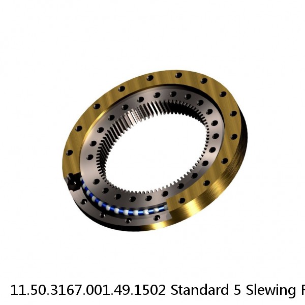 11.50.3167.001.49.1502 Standard 5 Slewing Ring Bearings