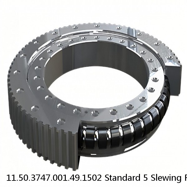 11.50.3747.001.49.1502 Standard 5 Slewing Ring Bearings