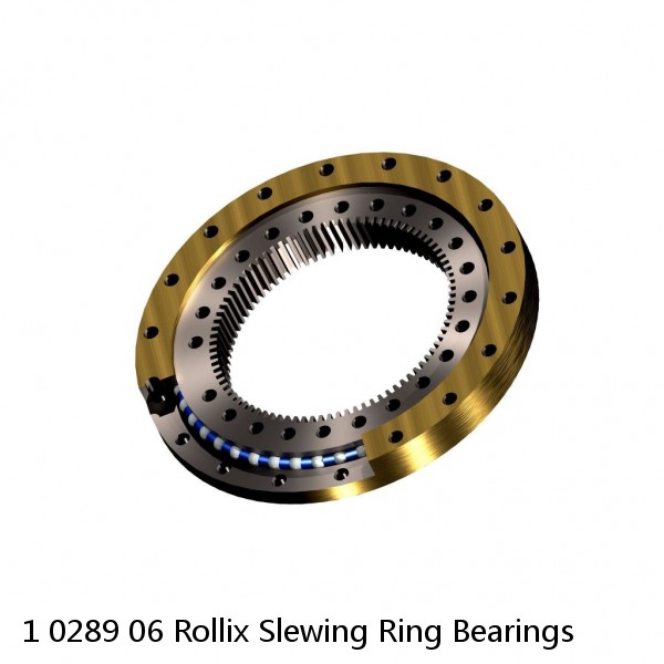 1 0289 06 Rollix Slewing Ring Bearings