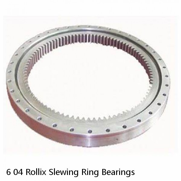 6 04 Rollix Slewing Ring Bearings