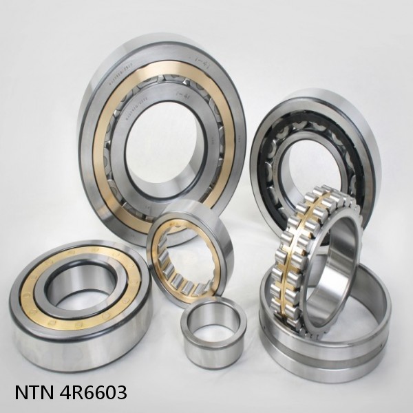 4R6603 NTN Cylindrical Roller Bearing