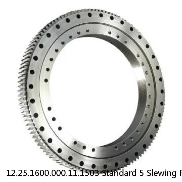 12.25.1600.000.11.1503 Standard 5 Slewing Ring Bearings