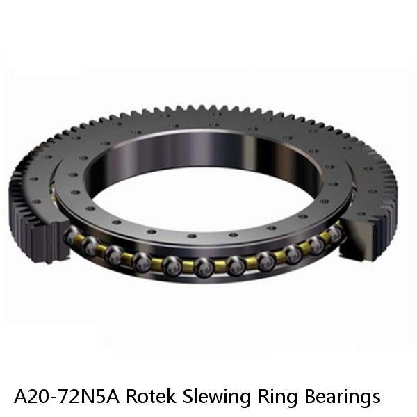 A20-72N5A Rotek Slewing Ring Bearings