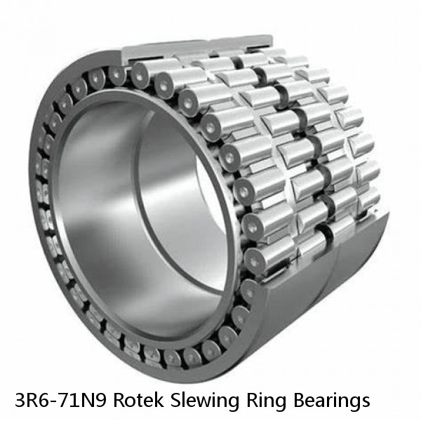 3R6-71N9 Rotek Slewing Ring Bearings