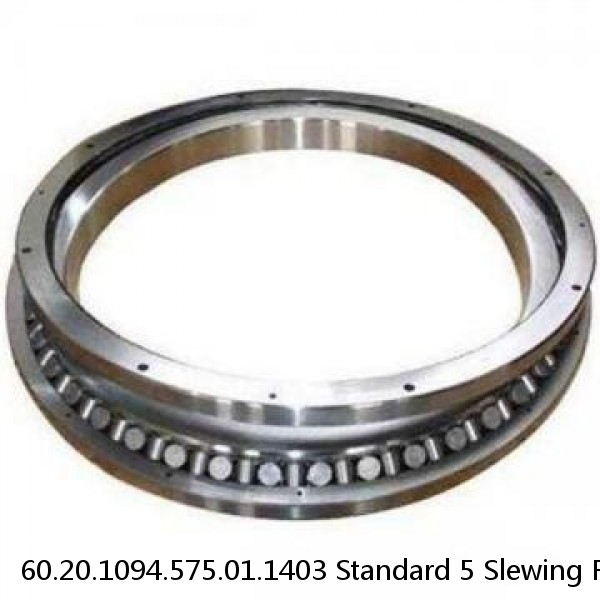 60.20.1094.575.01.1403 Standard 5 Slewing Ring Bearings