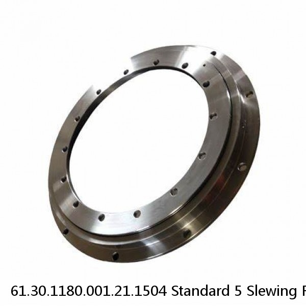 61.30.1180.001.21.1504 Standard 5 Slewing Ring Bearings