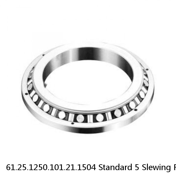 61.25.1250.101.21.1504 Standard 5 Slewing Ring Bearings