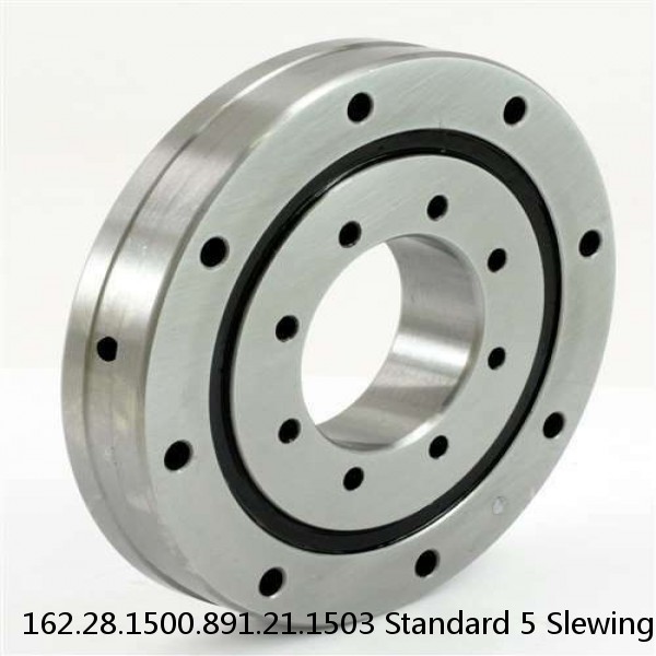 162.28.1500.891.21.1503 Standard 5 Slewing Ring Bearings